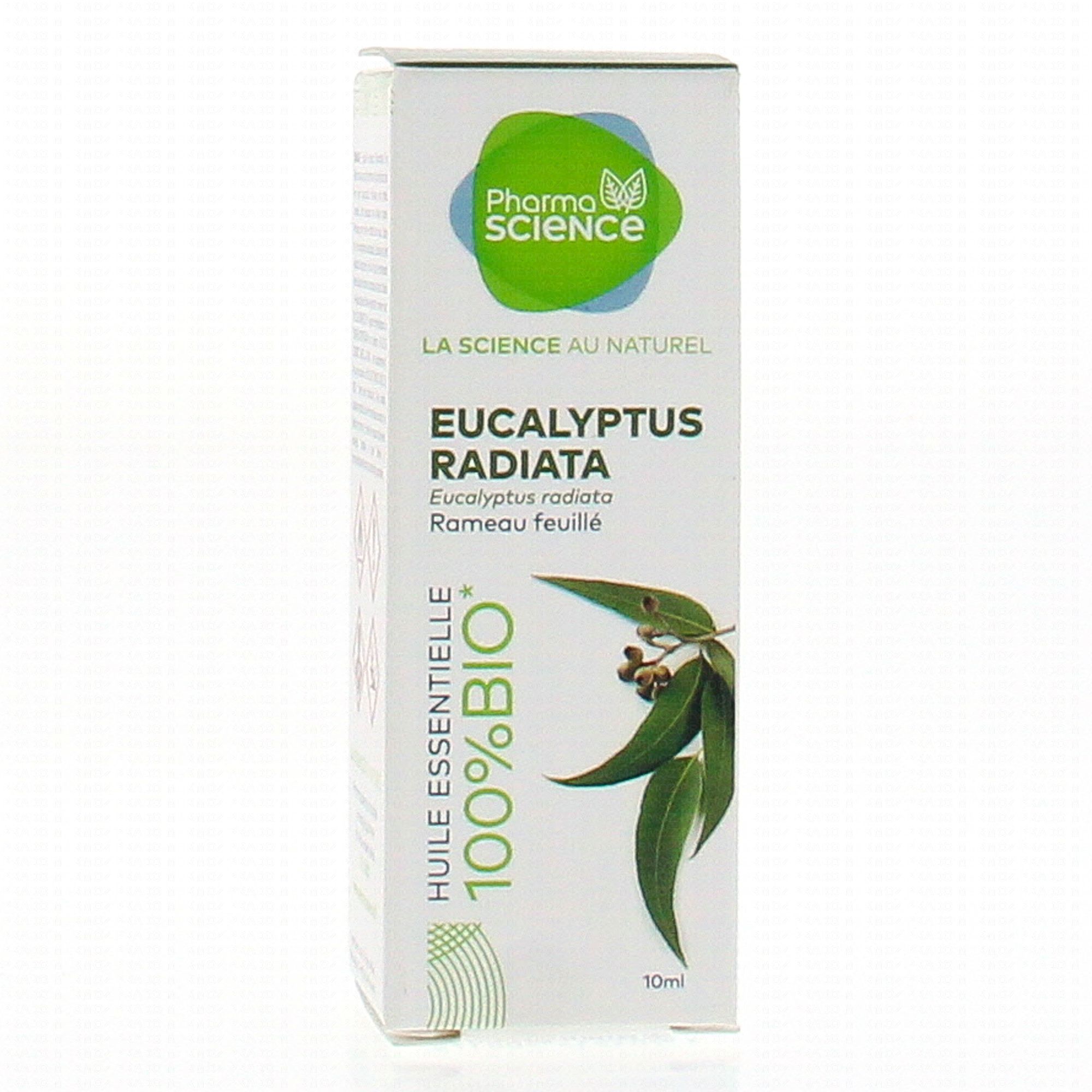 Eucalyptus radié Bio - Huile essentielle d'Eucalyptus radiata 30 ml